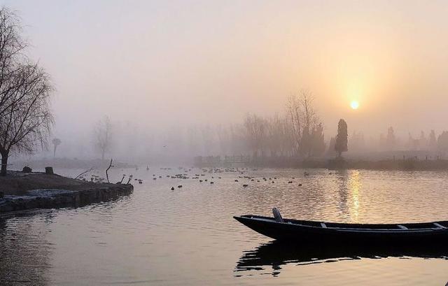 盐城市丹顶鹤自然保护区简介（探访江苏盐城丹顶鹤湿地保护区）(53)