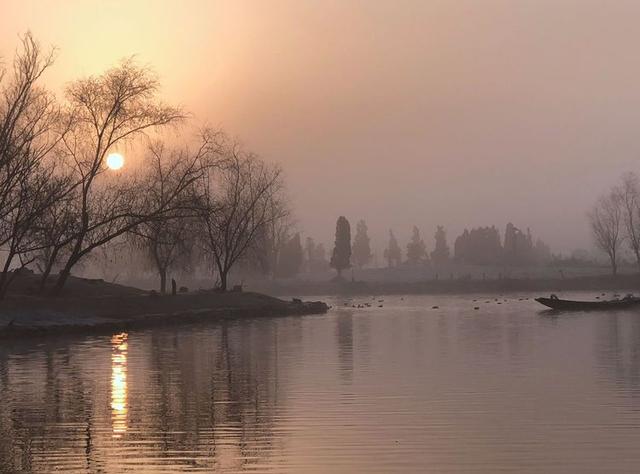 盐城市丹顶鹤自然保护区简介（探访江苏盐城丹顶鹤湿地保护区）(52)