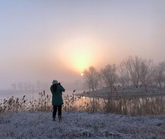 盐城市丹顶鹤自然保护区简介（探访江苏盐城丹顶鹤湿地保护区）(51)