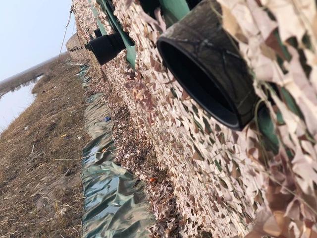 盐城市丹顶鹤自然保护区简介（探访江苏盐城丹顶鹤湿地保护区）(58)