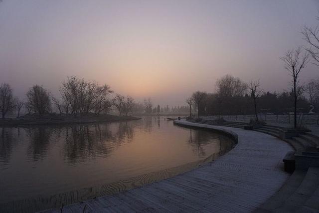 盐城市丹顶鹤自然保护区简介（探访江苏盐城丹顶鹤湿地保护区）(38)