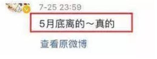 结婚11年，出轨后5年，马伊琍你终于跟文章离婚了！