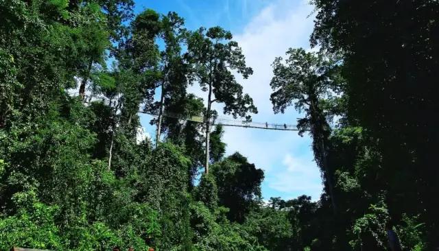 云南边境的几个地方 云南25个与东南亚接壤的边境县(17)