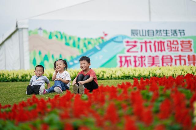 初夏辰山旅游攻略（辰山自然生活节）(19)