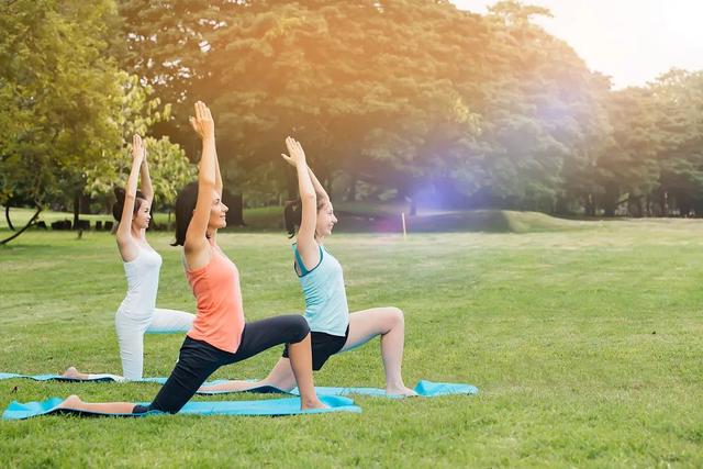 初夏辰山旅游攻略（辰山自然生活节）(37)