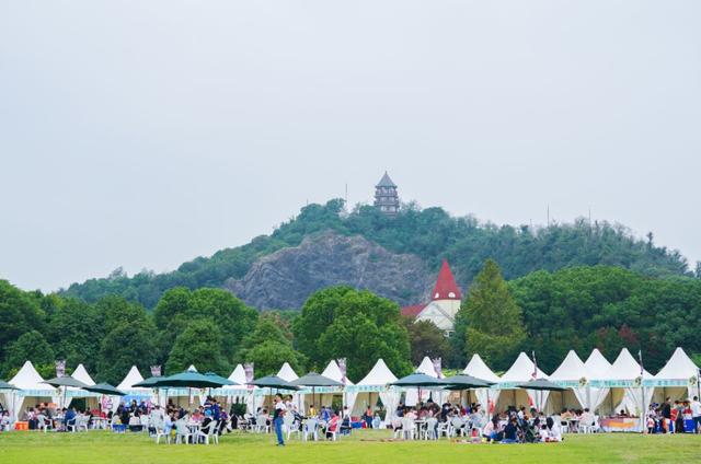 初夏辰山旅游攻略（辰山自然生活节）(46)