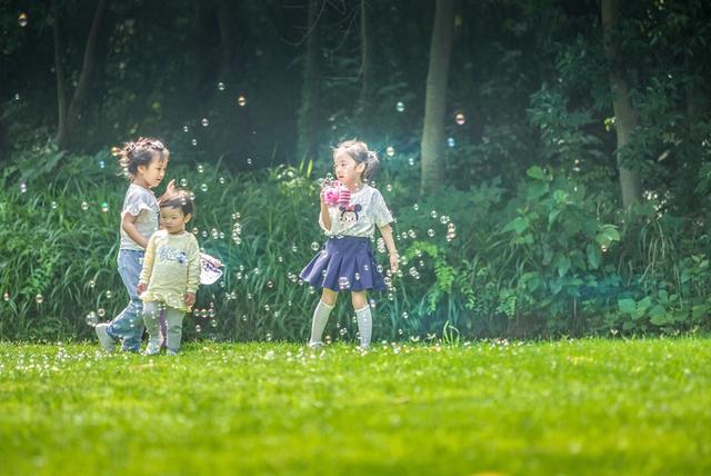 初夏辰山旅游攻略（辰山自然生活节）(48)