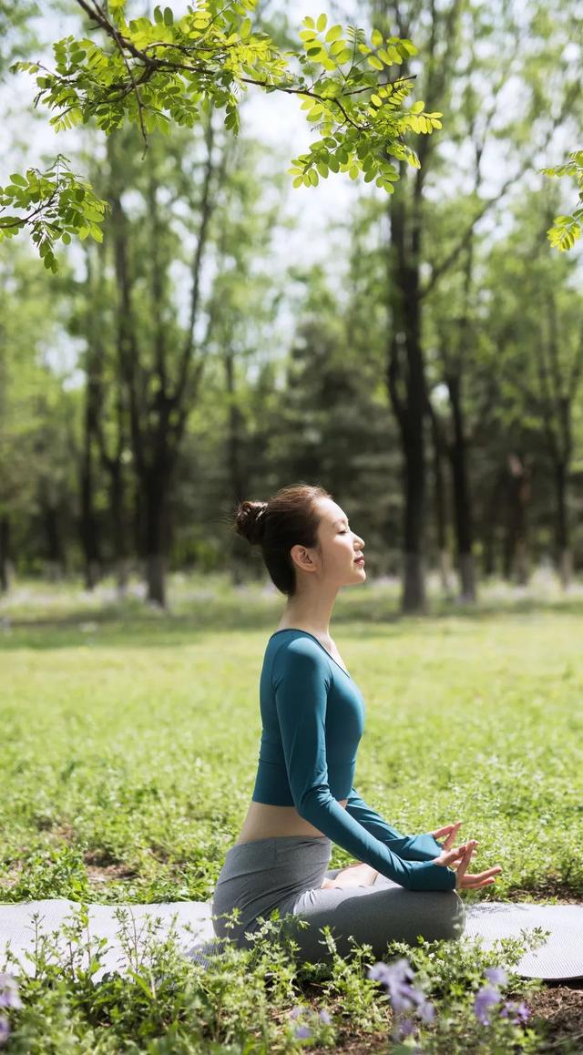 初夏辰山旅游攻略（辰山自然生活节）(38)