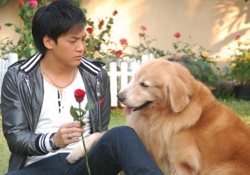 安徽卫视都播过什么泰剧（那些年安徽卫视带你入坑的泰剧）(7)