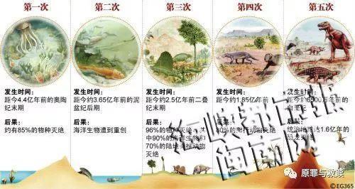 【从兔狲说起4】人类高高在上的姿态，丑不丑？