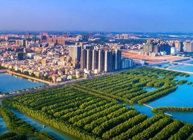 茂名旅游攻略放鸡岛（广东茂名唯一沿海的区）(4)