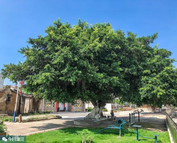 第一天：市区（海坛岛）→潮人街→濠江