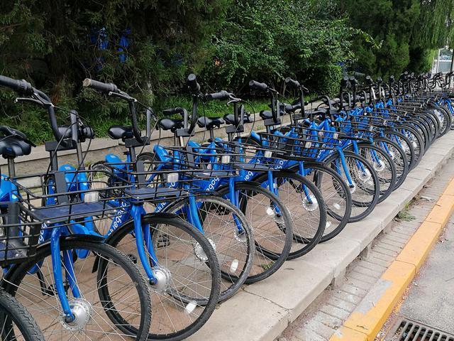 最好骑的共享单车，终于倒下了