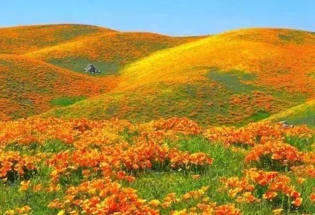 南加州旅游攻略必去景点推荐（加州这13个美到极致的景点）(27)