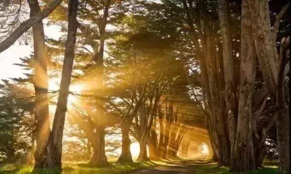 南加州旅游攻略必去景点推荐（加州这13个美到极致的景点）(5)