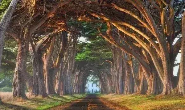 南加州旅游攻略必去景点推荐（加州这13个美到极致的景点）(4)