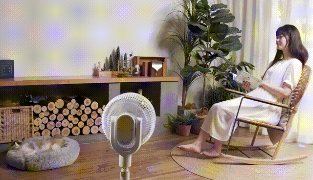 贝昂声控风扇说明书（贝昂智能声控循环风扇）(2)