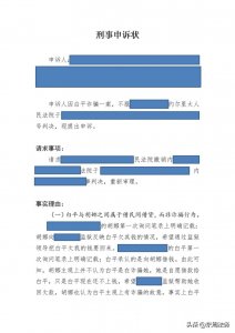​优秀法律文书分析之刑事申诉状（十）