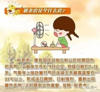 ​今年夏天好像没怎么热？是的，你的感觉没错！入伏以来杭州高温日仅9天