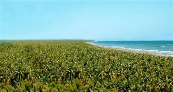 自驾三亚免费旅游路线推荐图(三亚10大风景最美自驾线路)(3)