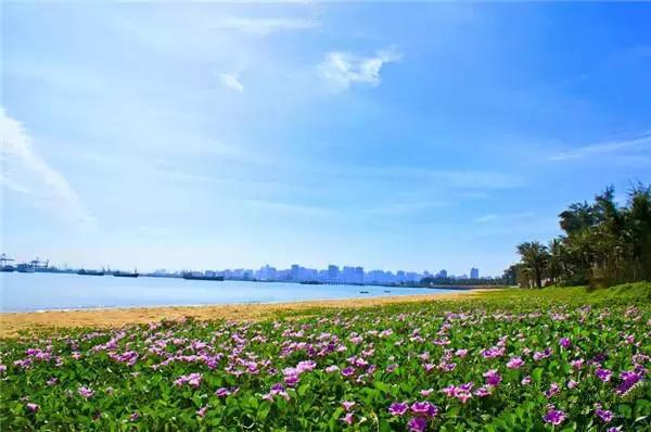 自驾三亚免费旅游路线推荐图(三亚10大风景最美自驾线路)(8)