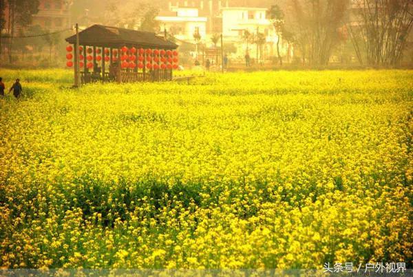 广州千年以上的古村(原来广州竟有5个极美的古村落)(12)