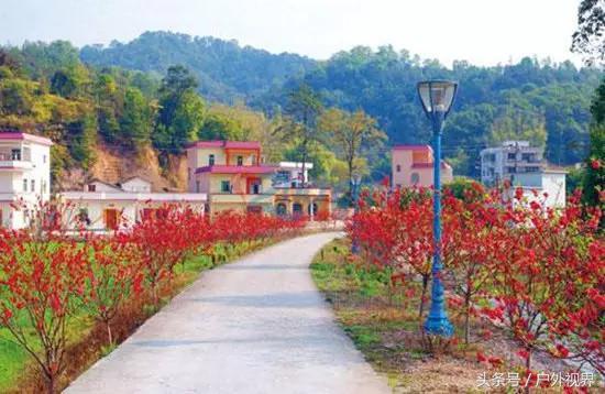 广州千年以上的古村(原来广州竟有5个极美的古村落)(14)