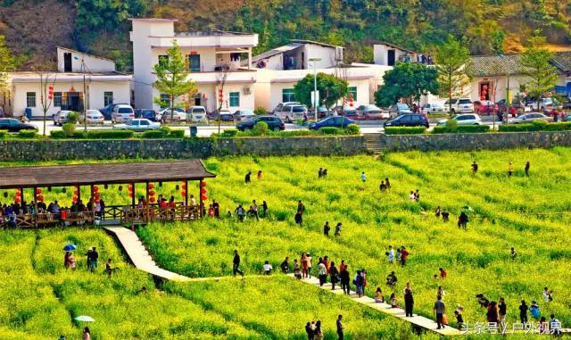 广州千年以上的古村(原来广州竟有5个极美的古村落)(11)