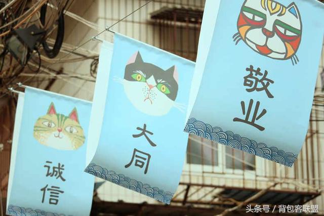 厦门自由摄影（厦门摄影主题3日游）(1)