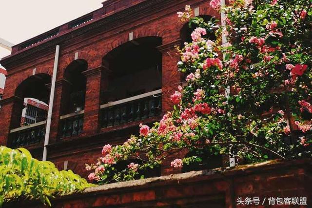 厦门自由摄影（厦门摄影主题3日游）(8)