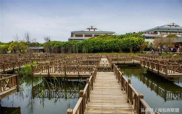 厦门自由摄影（厦门摄影主题3日游）(5)