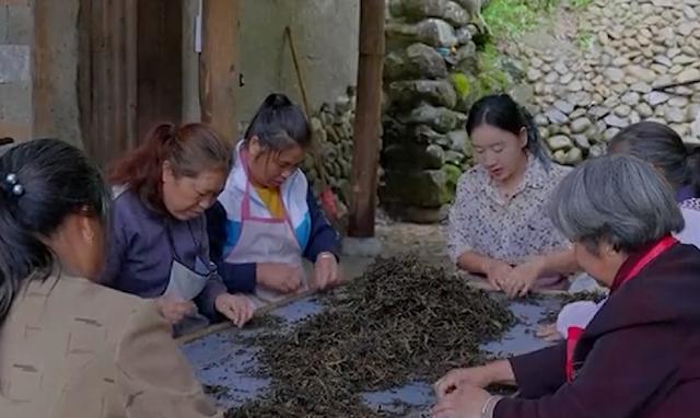 网红沈丹个人简历（乡愁沈丹23岁生下女儿）(24)