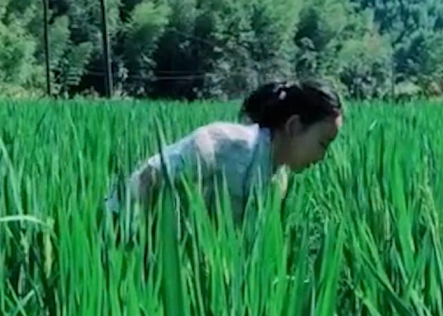 网红沈丹个人简历（乡愁沈丹23岁生下女儿）(15)