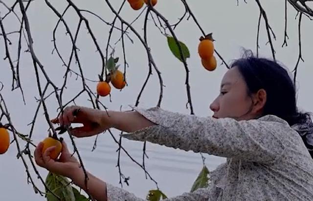 网红沈丹个人简历（乡愁沈丹23岁生下女儿）(25)