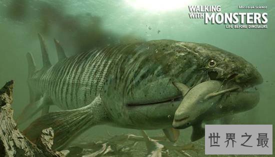 史前最恐惧的十大动物，史前巨鱼瞬间将鲨鱼撕成两半