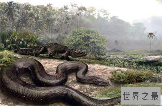 史前最恐惧的十大动物，史前巨鱼瞬间将鲨鱼撕成两半