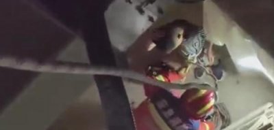 ​云南躲猫猫事件怎么回事（玩躲猫猫云南俩熊孩子掉进电梯井）