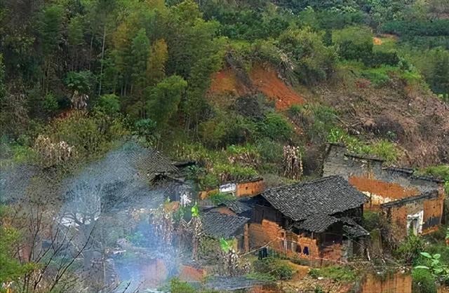 湘南僵尸村是真实存在的吗(95年的僵尸事件介绍)