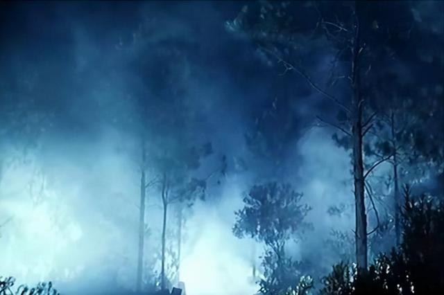 湘南僵尸村是真实存在的吗(95年的僵尸事件介绍)