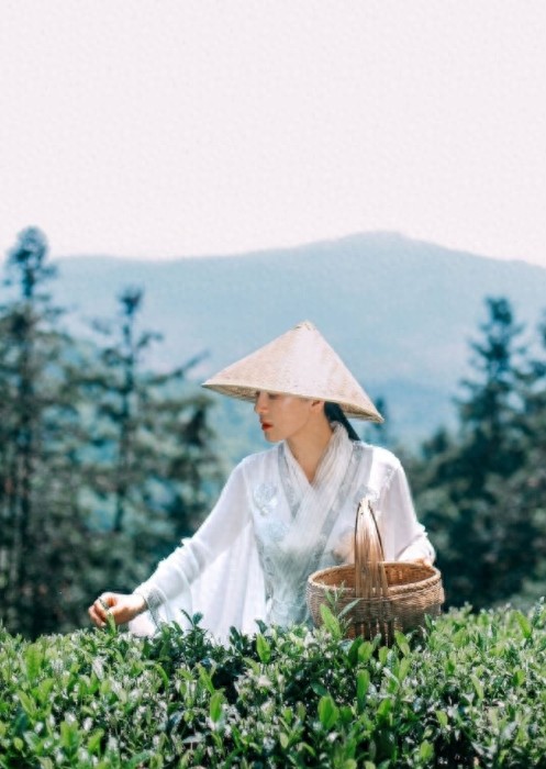 河南健身女神刘叶琳,白衣赤脚化身采茶女,有几分李子柒的味道