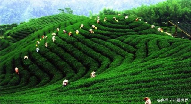 梅州旅游攻略必去景点(广东梅州五个值得一去的旅游景点)(2)