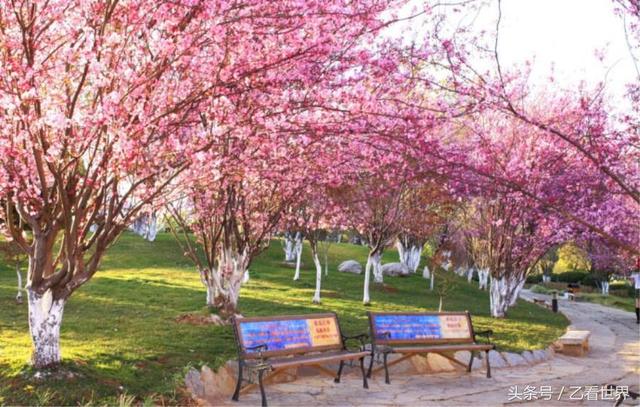 梅州旅游攻略必去景点(广东梅州五个值得一去的旅游景点)(3)