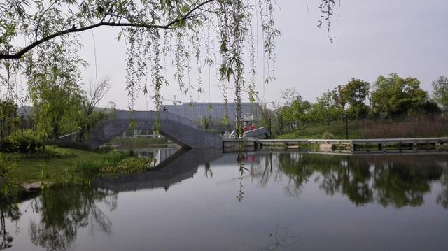 南京仙林值得买的房子(南京最宜居区域仙林楼市详细购房指南)(27)