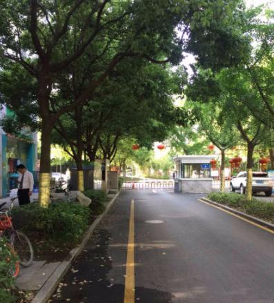 南京仙林值得买的房子(南京最宜居区域仙林楼市详细购房指南)(63)