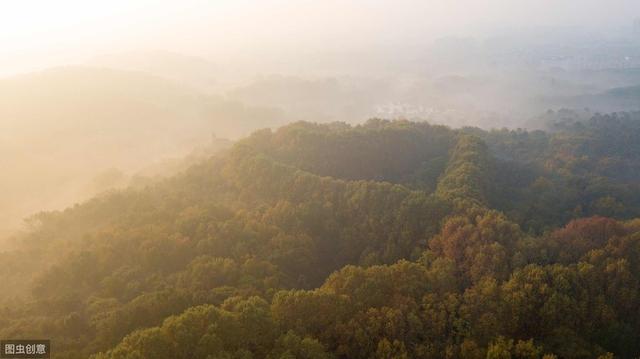 南京仙林值得买的房子(南京最宜居区域仙林楼市详细购房指南)(6)