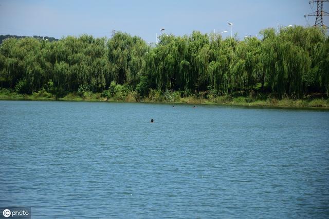 南京仙林值得买的房子(南京最宜居区域仙林楼市详细购房指南)(9)