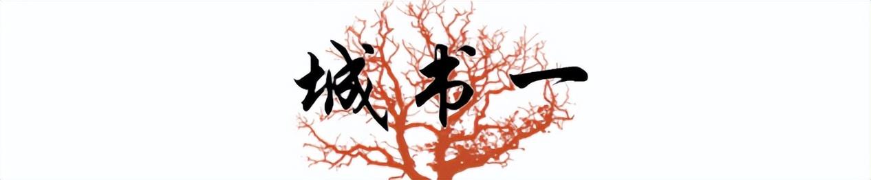 云南十大恶人孙小果杀的谁(四川首善的双面人生)(4)