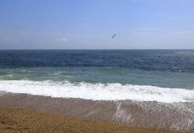 大连三日游超详细攻略(大连超详细全攻略)(24)