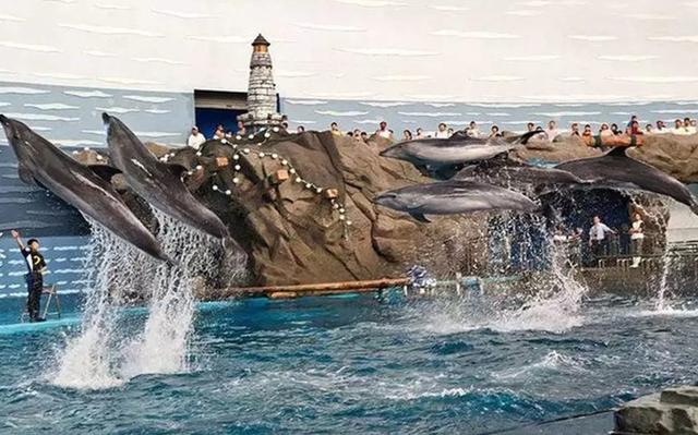 大连三日游超详细攻略(大连超详细全攻略)(3)