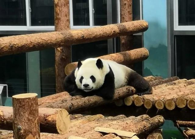 大连三日游超详细攻略(大连超详细全攻略)(8)